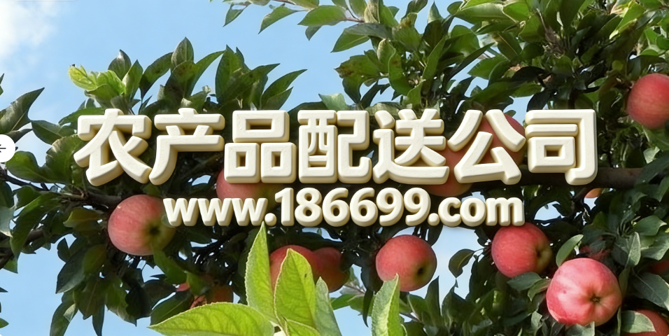 全球蘋果種植面積和產量最多的國家是哪里？