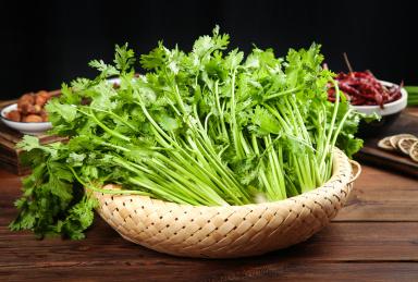 香芹西芹老是分不清？惠州食材配送中心教你區(qū)分！