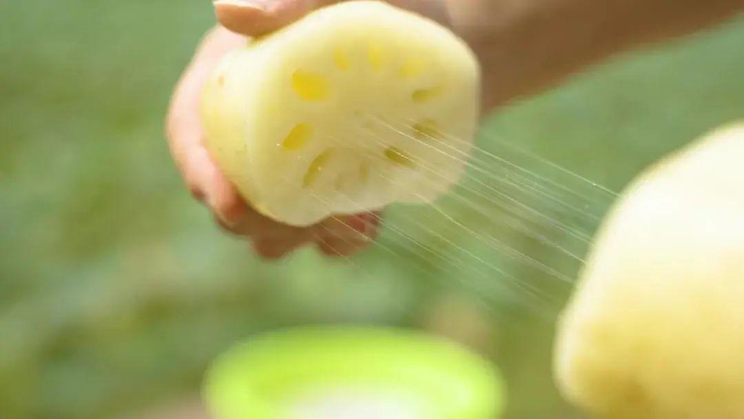 藕斷為什么會(huì)絲連呢，東莞食材生鮮配送中心與您談一談