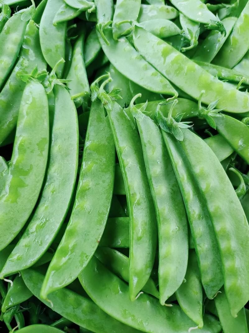 惠州生鮮蔬菜配送中心為您科普荷蘭豆的營養(yǎng)價(jià)值
